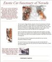 Filename=exoticcat.jpg
Filesize=265KiB
Dimensions=934x1112
Date added=Jun 05, 2013 exoticcat.jpg